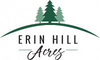 Summer Solstice Wellness Event