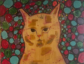Yellow Cat Close Up Amid Bubbles
