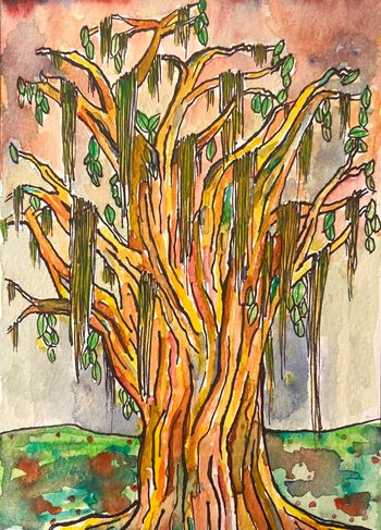 Spanish Moss
