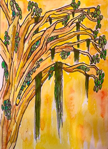 Spanish Moss 4
