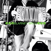 KERRY PIPER - BLARNEY BROTHERS/BROS  