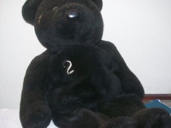 Derek Jeter bear.  Derek is my favorite Yankee.  Such a throwback, classy, always hustles..the Captain.
