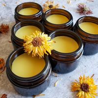 CBD Lemonbalm Salve