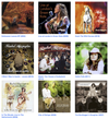 Any of Rachel's CDs - CD