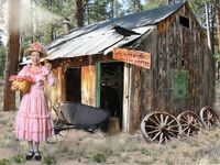 "COUNTRY QUEENS"