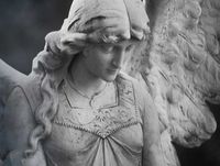 Viva La Musica ~ Mozart: Requiem