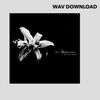 THE AWAKENING - THE LOST THEATRE (WAV DOWNLOAD)