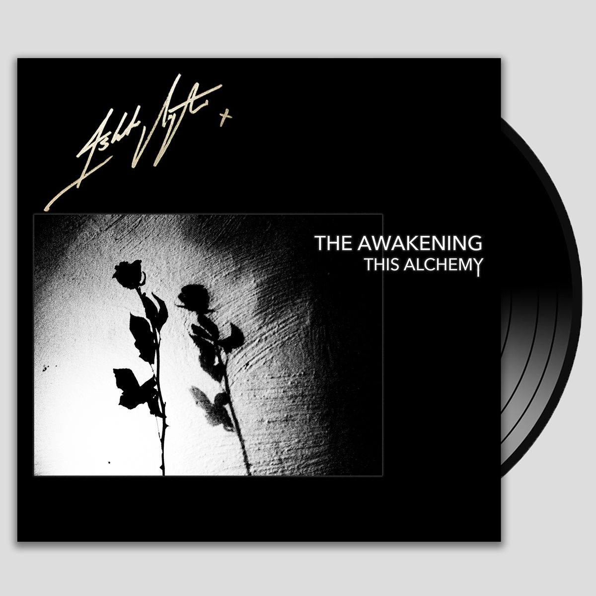 The Awakening - This Alchemy (Vinyl): Signed + Dedicated