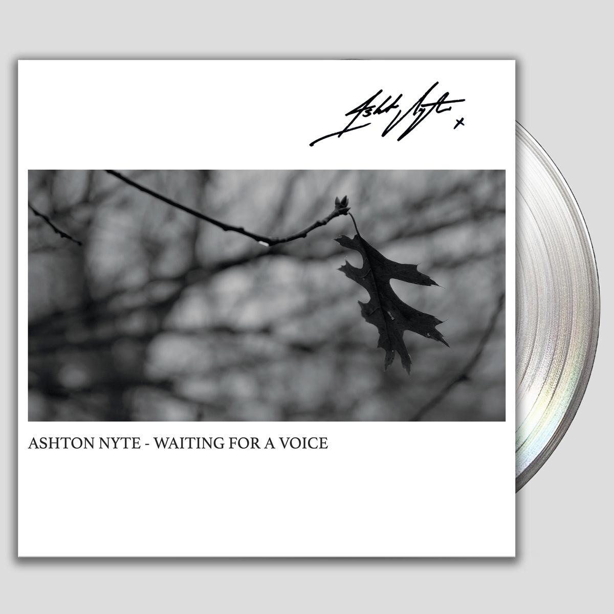Waiting For Voice (Vinyl) - Signed + Dedicated