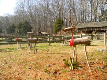 Santa's Reindeer on the lawn.
