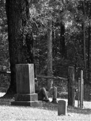 My husband, Bob, leaning against a tree while I take photos.  He said, the next day, that sitting down was a mistake....he was eaten alive by chiggers.
