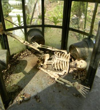 A refugee from Halloween
