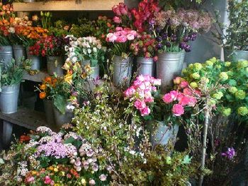 FLOWERS IN SHOP
