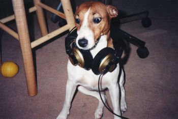 This song was a bit too emo for Mooch..

