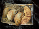 Wreckage - CD