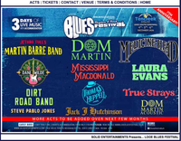 Rock & Blues festival Looe