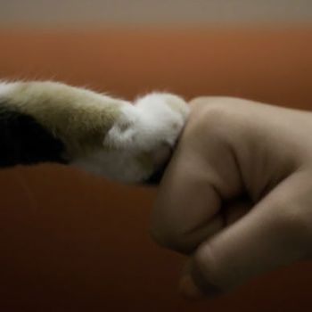Friends Forever!
