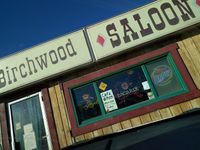 Evil Ted and the Thick Pink Antiseptic at Birchwood Saloon