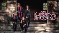 The PriSSillas @ St Charles Park District