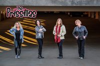 The PriSSillas @ Tinley Park District Concert in the Park - Thursday's in the Park