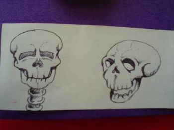 TWO SKULLS, pen and ink by Olin Smith.
