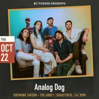 Analog Dog