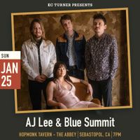 AJ Lee & Blue Summit - SOLD OUT! 