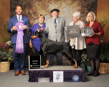 DPCA WInner's Dog Judge Philip Mart
