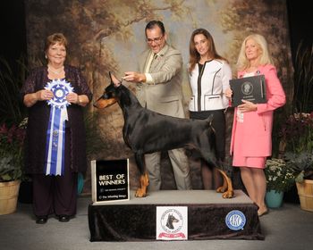 DPCA Regional Best of Winners Judge Jan Van WormerJudge
