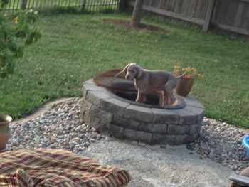 Boy in firepit!
