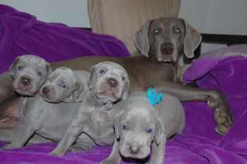 Proud Mom
