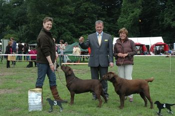 De Toppers van de Pheasant Fetchers in de Jongehondenklasse : Nicolette van Harskamp 3U met Fly Free of The Pheasant Fetchers (Chipper) en 4U voor Eveline van Weely met Fly First of The Pheasant Fetchers (Benson). Heel goed gedaan! (foto's Roy van Weely)
