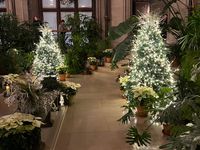 Candlelight Christmas Music
