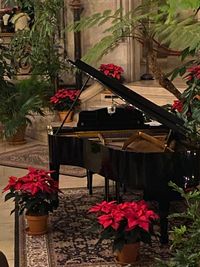 Candlelight Christmas at Biltmore 