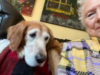Marilynn Seits will be playing the piano for the residents of Arbor Terrace. 