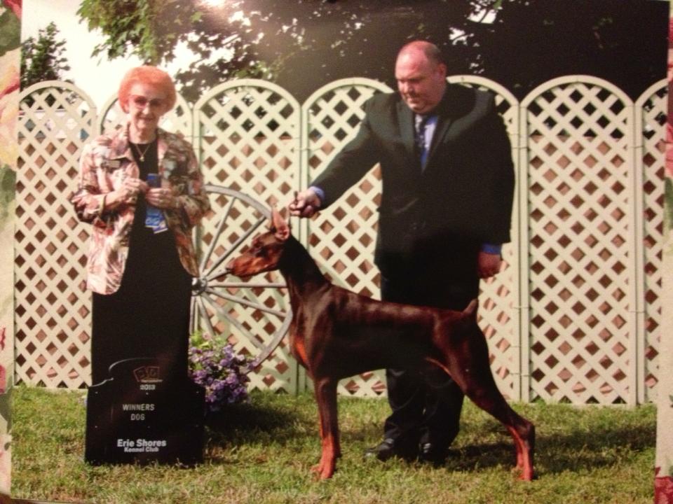 www.melraedobermans.com