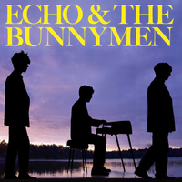 Echo & the Bunnymen - Forest Fest Ireland