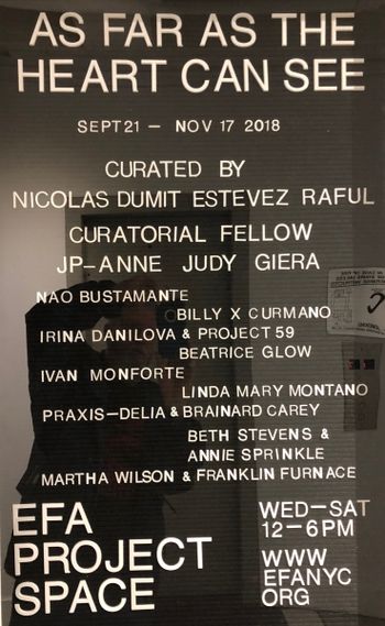 "As Far As the Heart Can See", Elizabeth Foundation for the Arts Project Space, NYC, 2018
