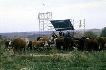 New X at Art Works USA Safari Cow Park (Photo: Mary Coughlan)
