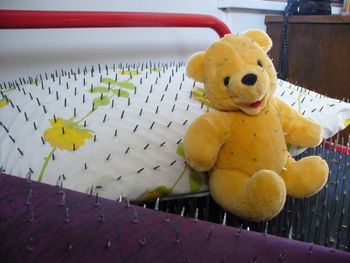 Bed o' Nails, Pillow & Blanket of Tiny Tacks and Teddy
