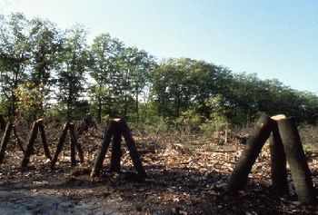 "Kroller-Mueller Construction", unauthorized construction near Otterloo Holland, Billy X. Curmano, 1977
