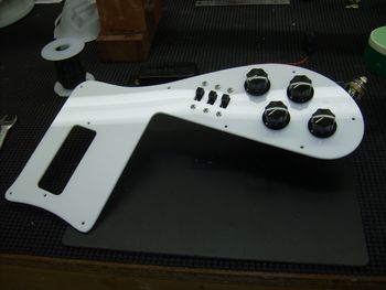 The guard is finished, and now the electronics are being installed.....
