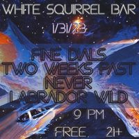 2WPN @ The White Squirrel, playing with Labrador Wild and Fine Dials