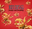 Beauty and Breaking - CD