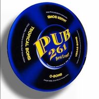 Pub 261