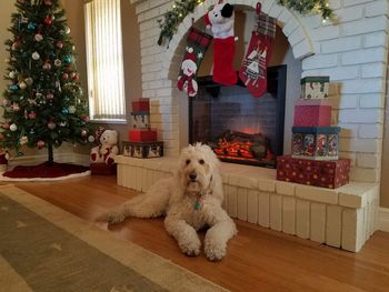 Fill My Stocking Please
