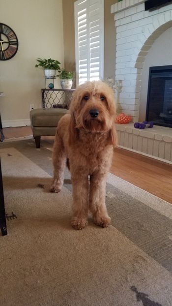 Throw Me The Ball
