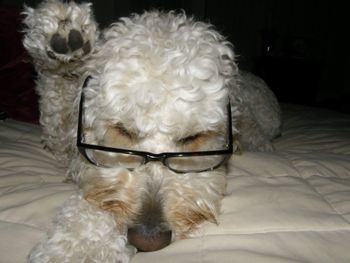 Turn The Page Please
