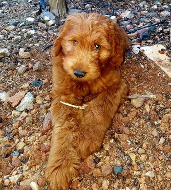 Frannie's 1st Stick
