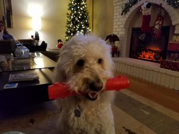 You Can't Have It!
